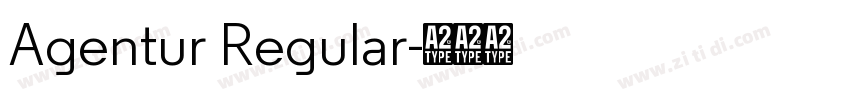 Agentur Regular字体转换